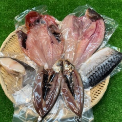 【新】ひものベスト5（送料込）